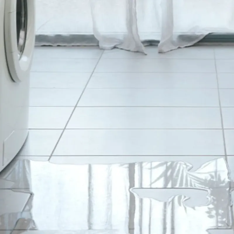 Appliance Leak Cleanup in Tolono, IL