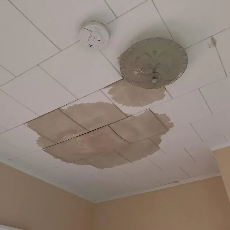Ceiling Water Damage Repair in Tolono, IL