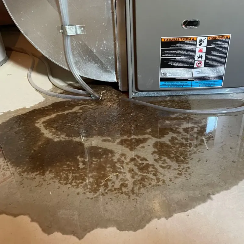 Pipe Burst and Leak Restoration in Tolono, IL