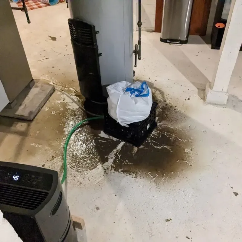 Sewage Backup Cleanup Service in Tolono, IL